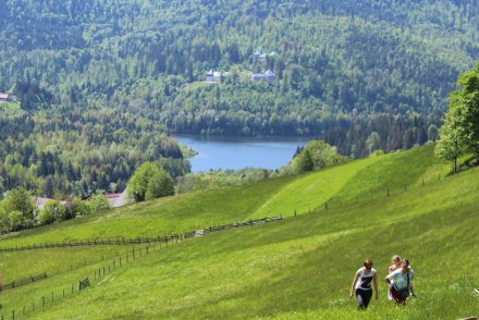 Widok na Jezioro Czerniańskie z Cieńkowa